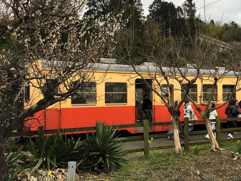 小湊鉄道高滝駅に停車中の電車