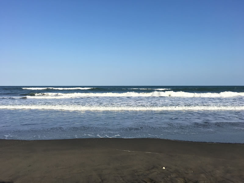 大網白里市白里海岸の波打ち際の風景