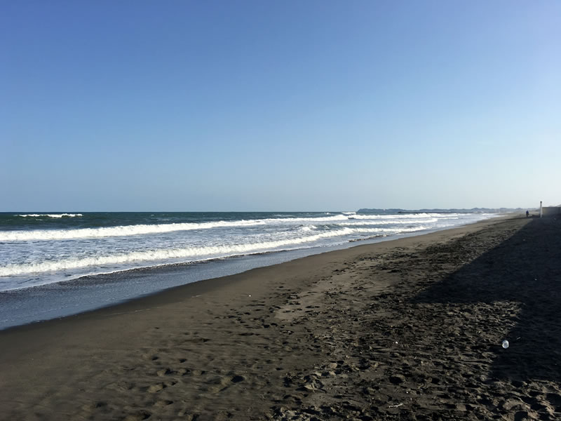 大網白里市白里海岸の波打ち際の風景(2)