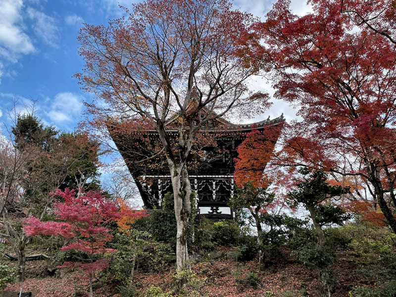 洛西善峰寺 山門