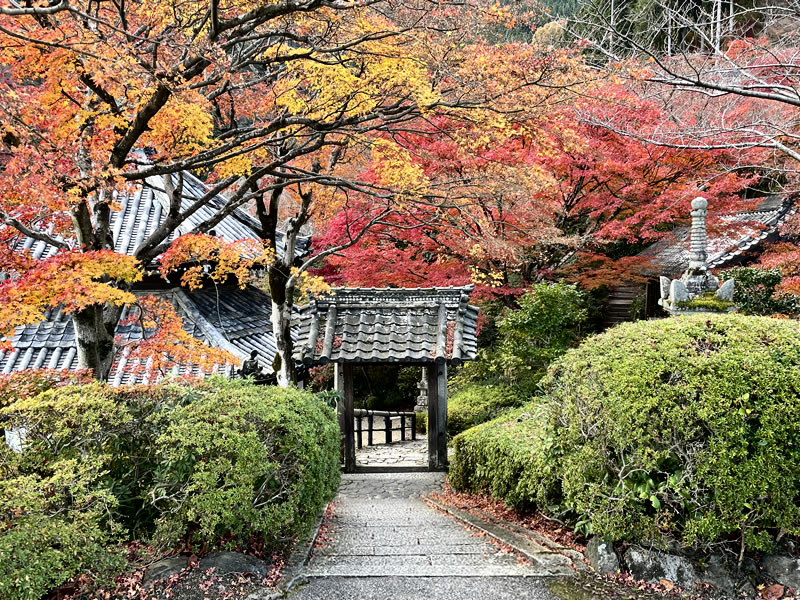 洛西善峰寺 宝篋印塔入口