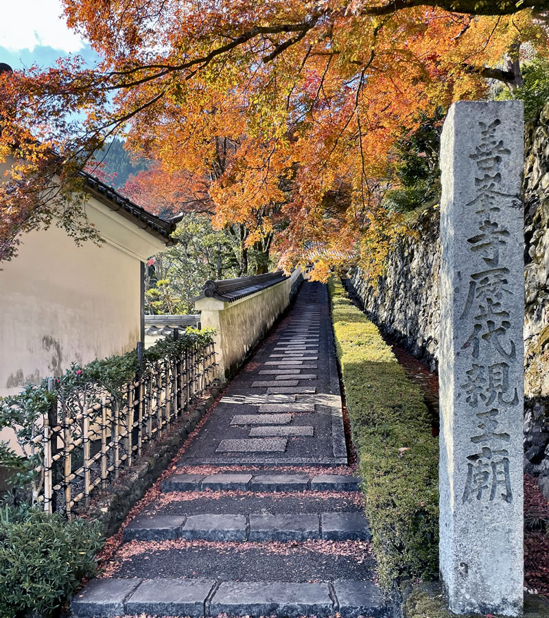 洛西善峰寺 阿弥陀堂参道と歴代親王廟の石柱