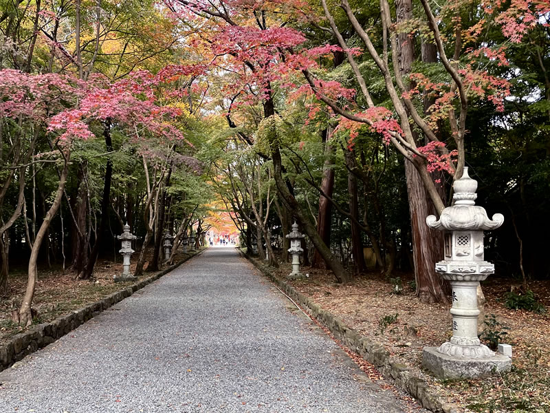 洛西大原野神社 二之の鳥居から見た神苑の風景