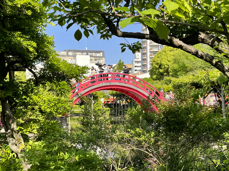 亀戸天神社の太鼓橋（男橋）(3)