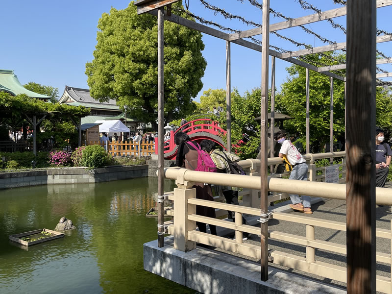 亀戸天神社の太鼓橋（女橋）