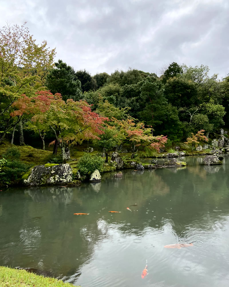 京都 天竜寺 曹源池庭園の景観(2)