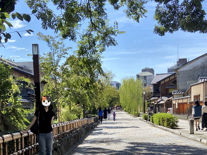 京都 祇園白川の風景(2)