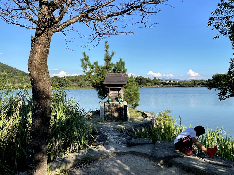 広沢池 観音島 壹美白辨財天社と亀を釣る少年の光景