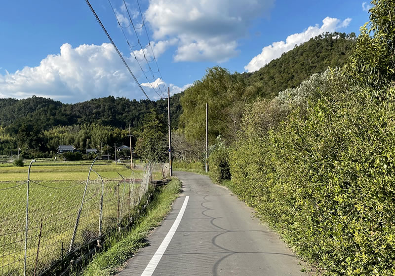 広沢池畔の小径から北嵯峨六代芝町の集落を見た風景