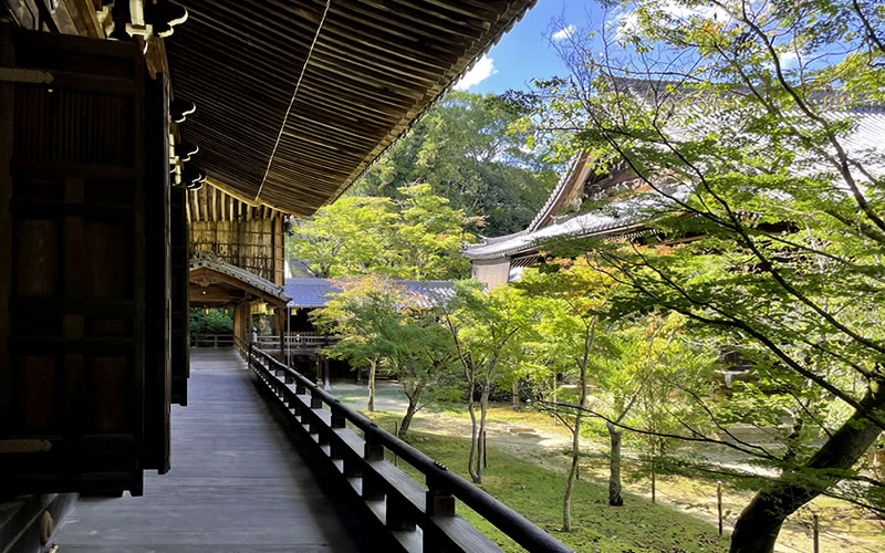 光明寺 境内の石畳道の風景