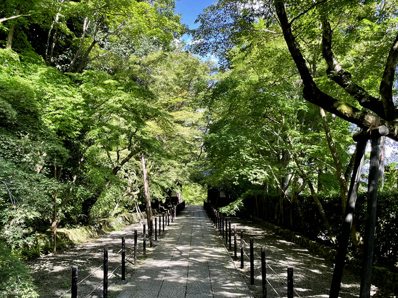 光明寺 境内の小径の木立の風景