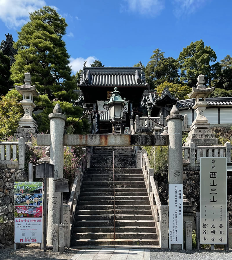 楊谷寺 山門前の風景