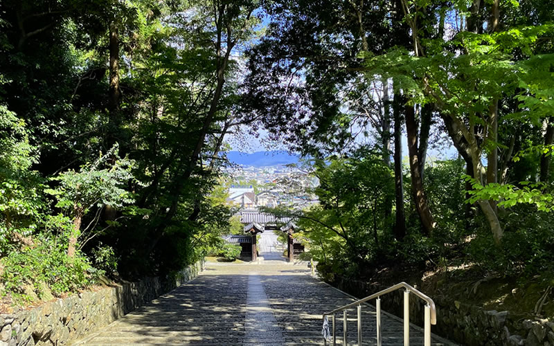 光明寺 境内の石畳道から見た京都市街の風景