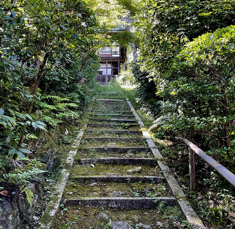 光明寺 石段の下から見た勢至堂