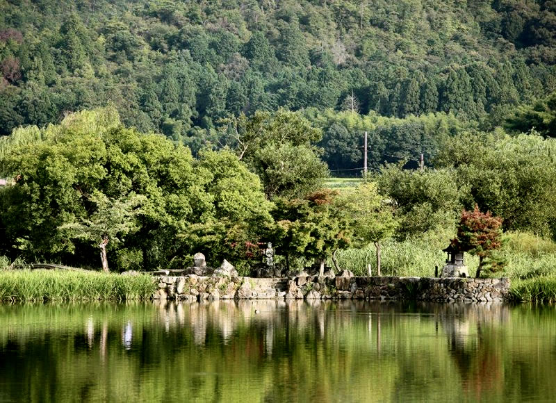 広沢池の南側の府道29号から観音島のほうを見た風景