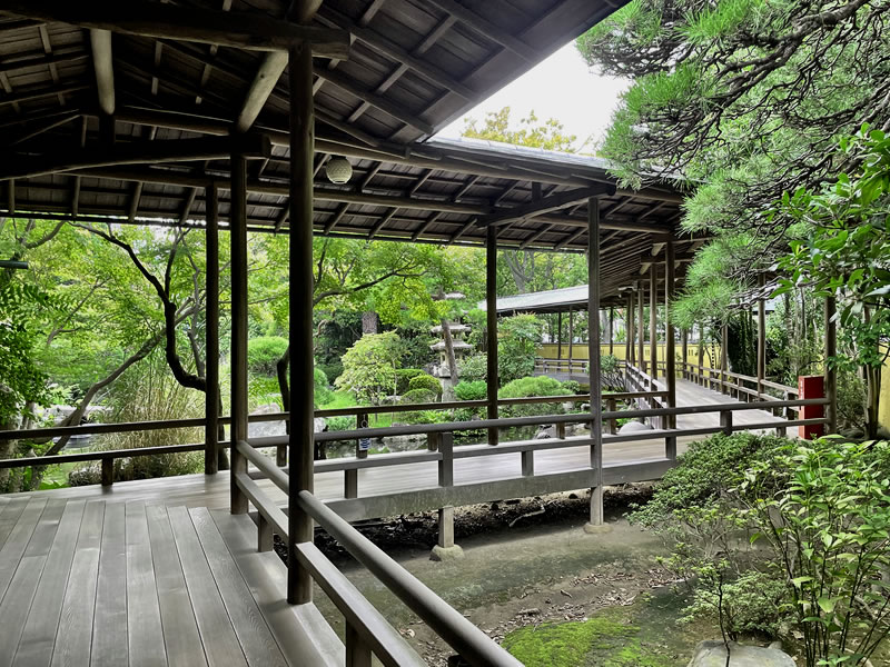 柴又帝釈天 回廊から見た邃渓園の景観(2)