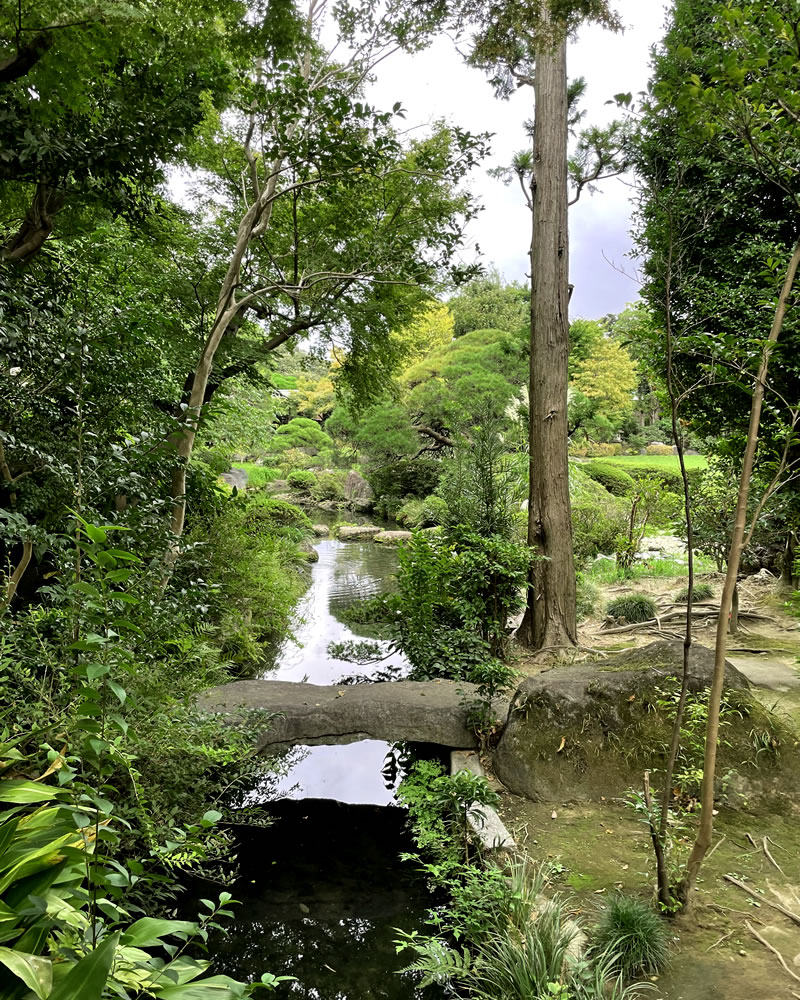 柴又帝釈天 帝釈堂の回廊から見える小川