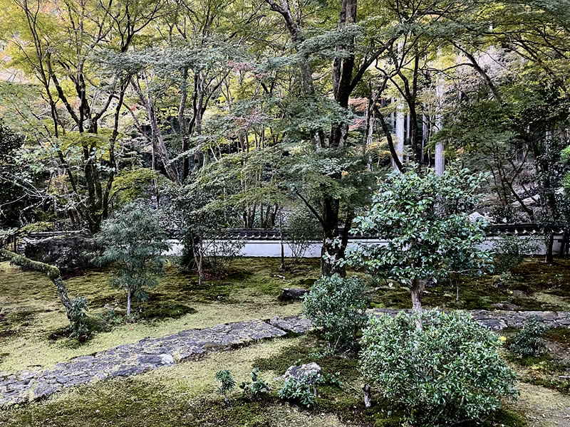 栂尾山 高山寺の庭の景観(2)