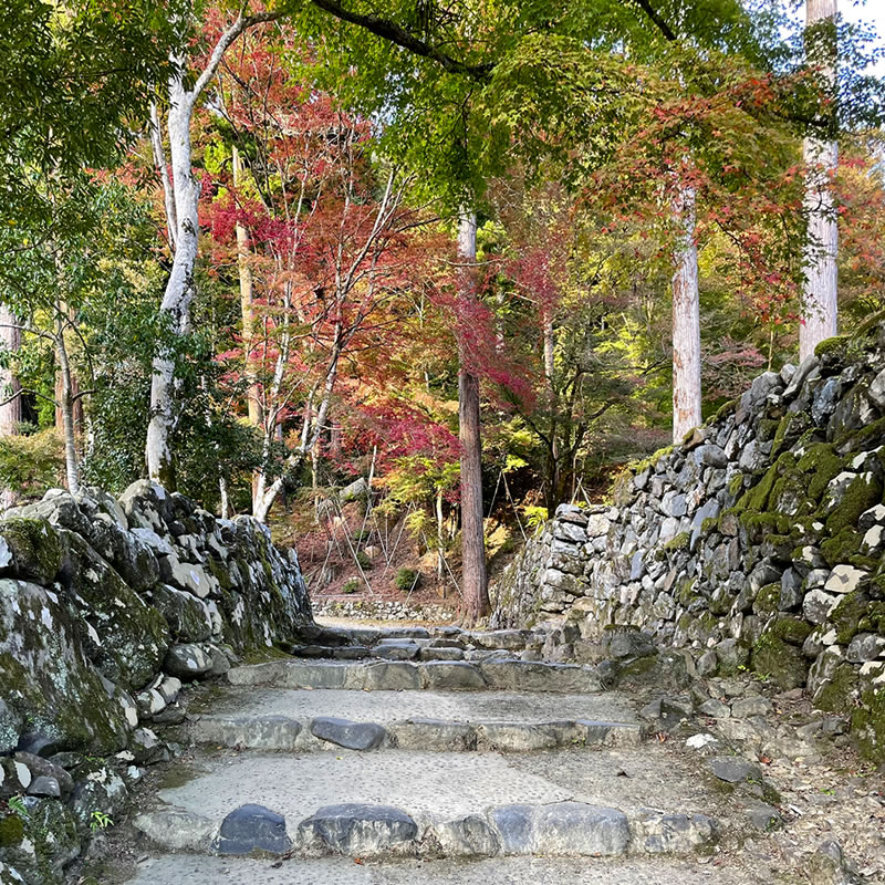 栂尾山 高山寺参道の風景