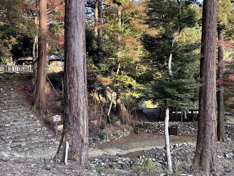 栂尾山 高山寺参道の風景(2)