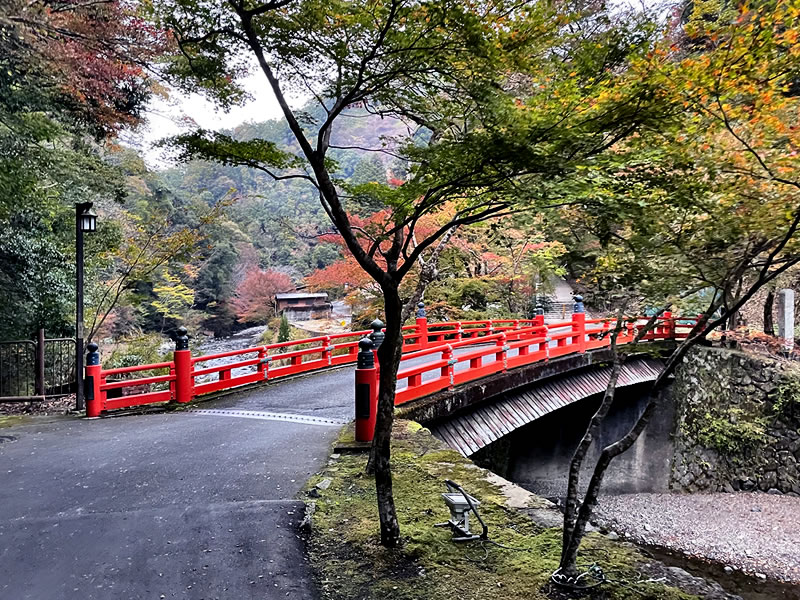 高雄山 神護寺 高雄橋付近の風景