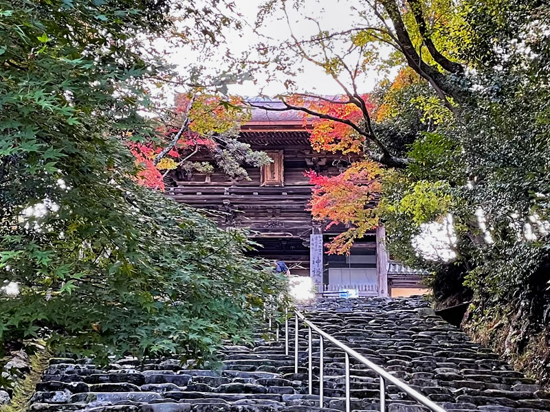 高雄山 神護寺 石段から見た楼門