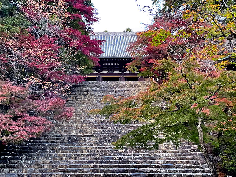 高雄山 神護寺 石段の下から見た金堂