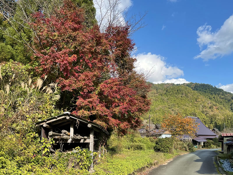 美山の大きい茅葺屋根の民家(3)