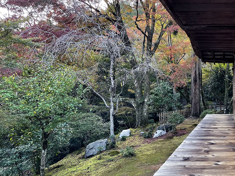 栂尾山 高山寺の庭の景観