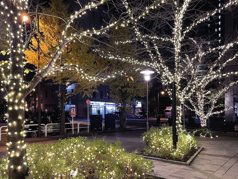 家族の誕生日会で行った神保町の風景