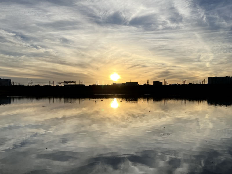 水面に夕日が映っている谷津干潟の風景