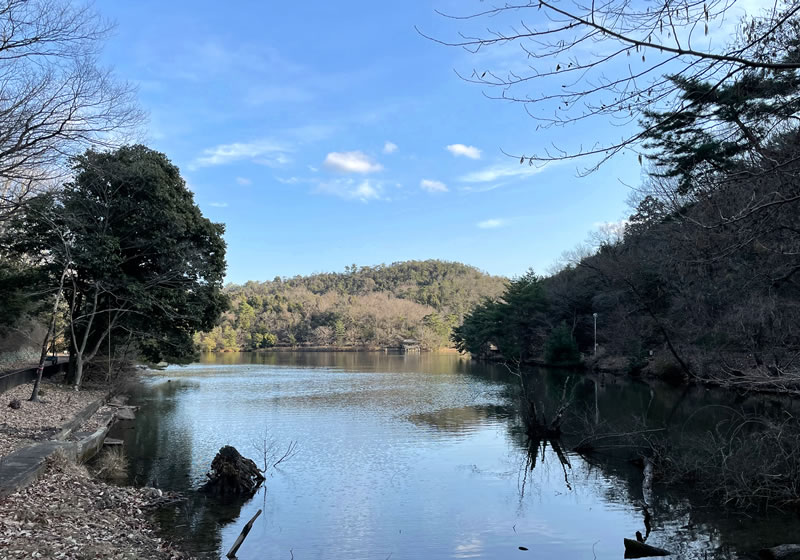 京都市 宝ヶ池北端から見た風景