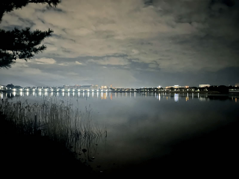 谷津干潟の夜景