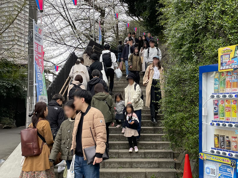 飛鳥山公園へ上る石段