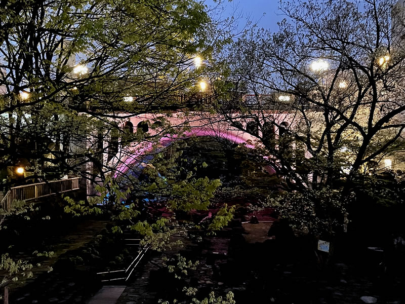 飛鳥山 音無親水公園と音無橋の夜景