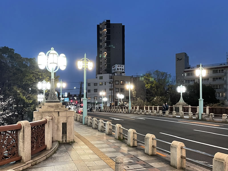 飛鳥山 音無橋の上から見た音無親水公園の夜景