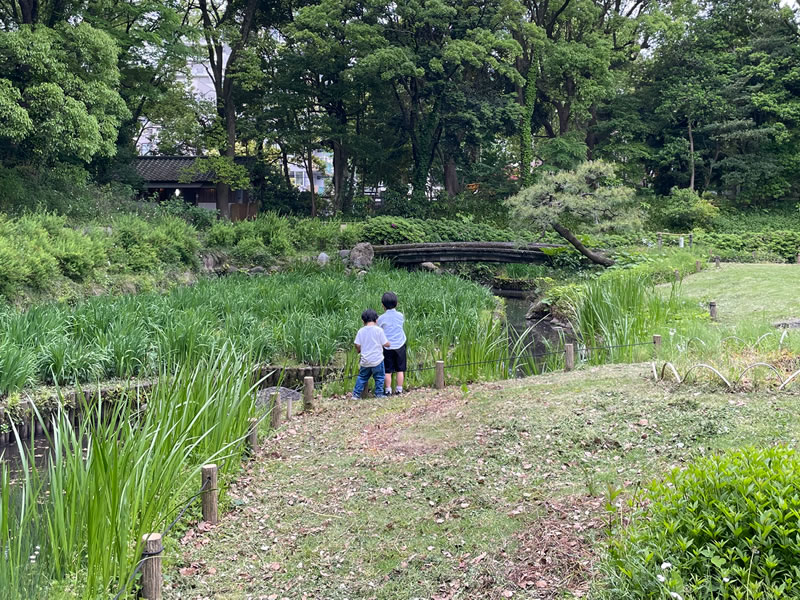 清澄庭園の南側の風景