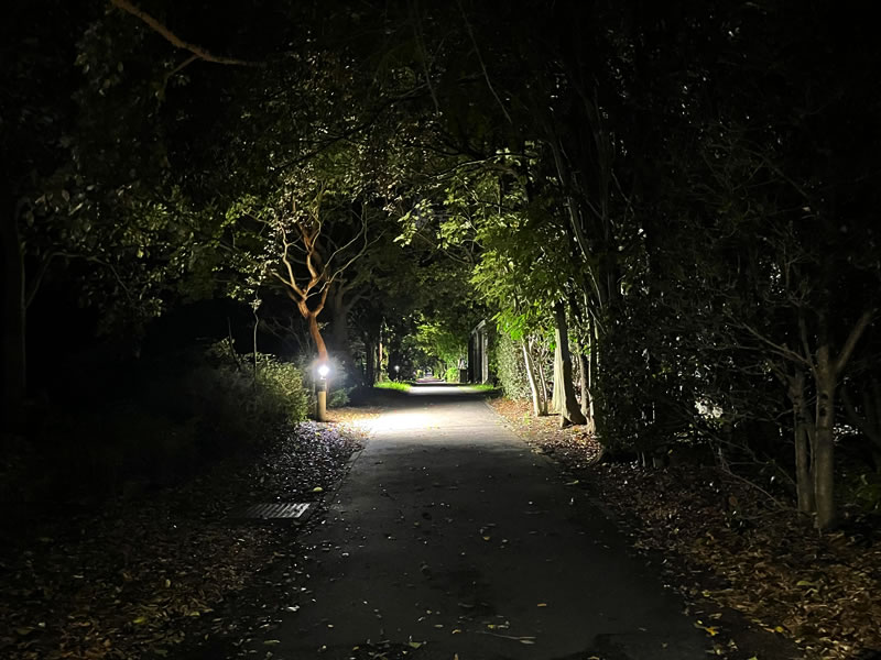 夜の谷津干潟遊歩道