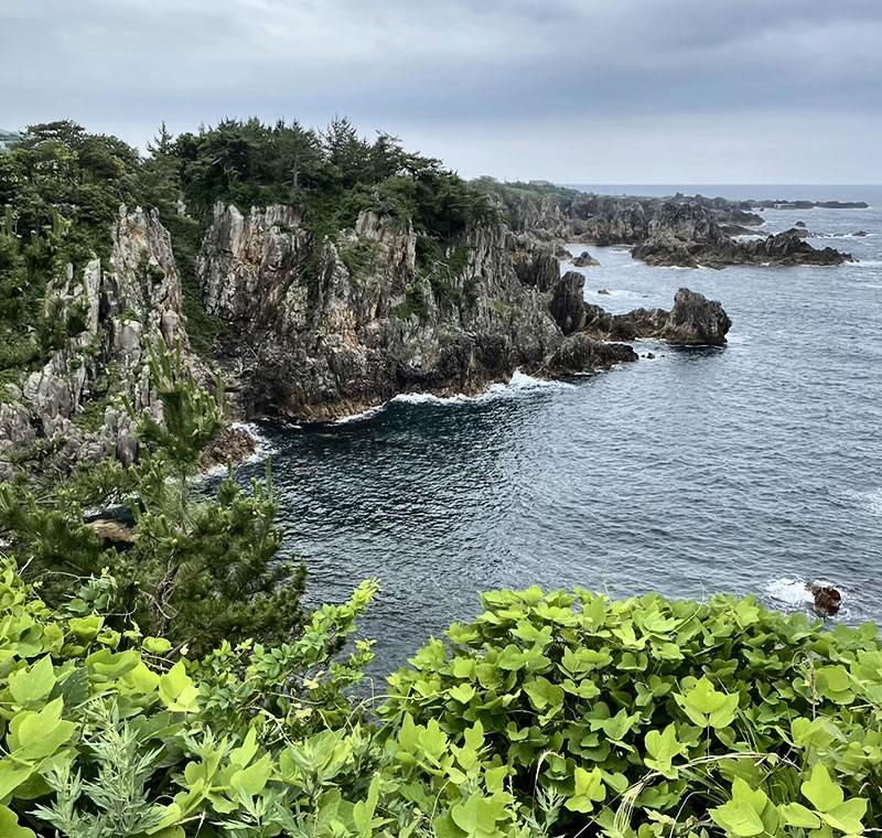 佐渡 尖閣湾 揚島遊園の風景(3)