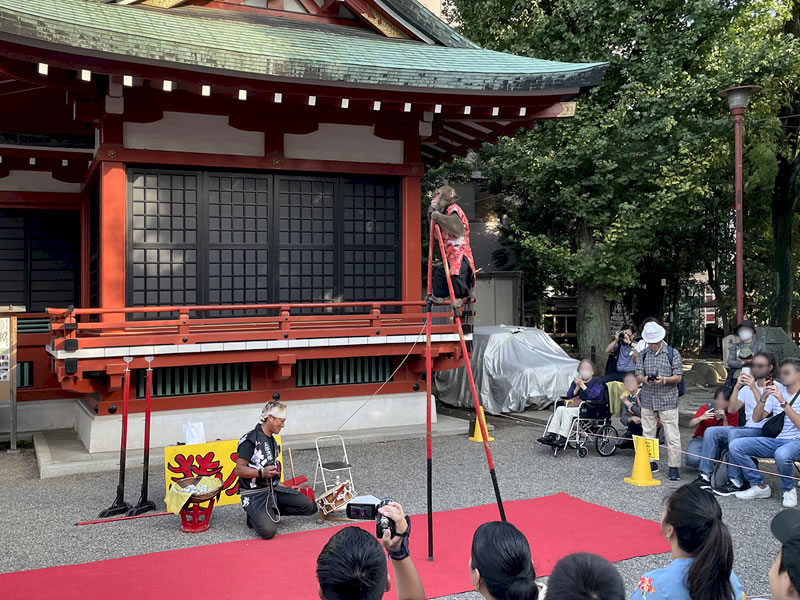 浅草寺神楽殿前で見た猿まわし