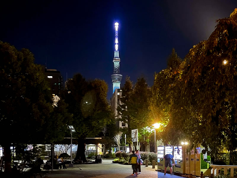 夜の浅草寺境内から見たスカイツリー