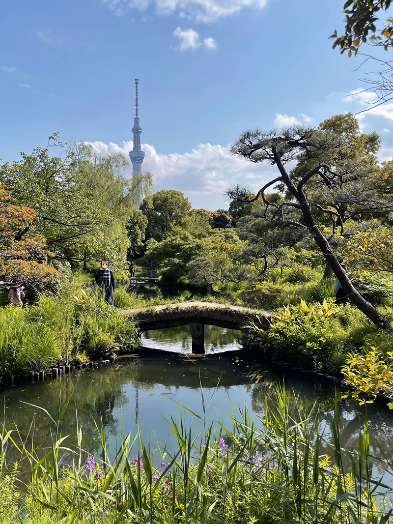向島百花園と妻とスカイツリー