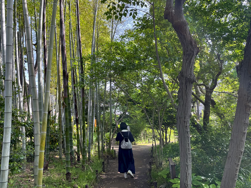 向島百花園 竹林