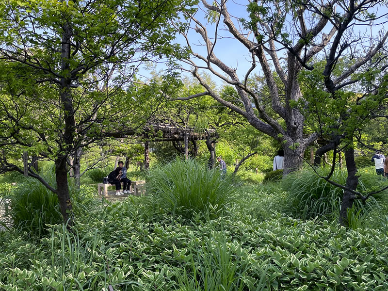 向島百花園内の風景