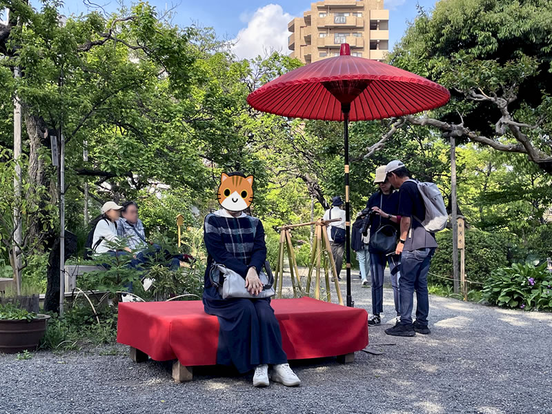 向島百花園 床几台に座る妻