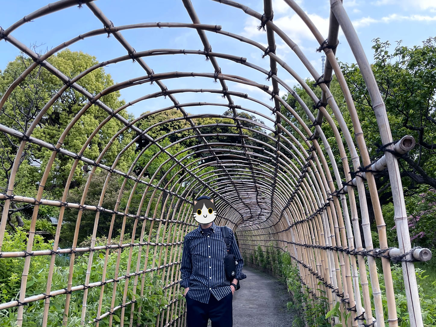 向島百花園 萩のトンネル