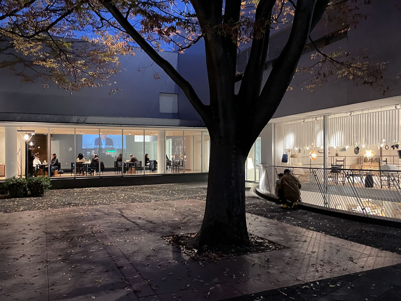 代官山 ヒルサイドテラス中庭の風景