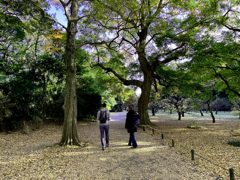 浜離宮恩賜庭園の風景(5)