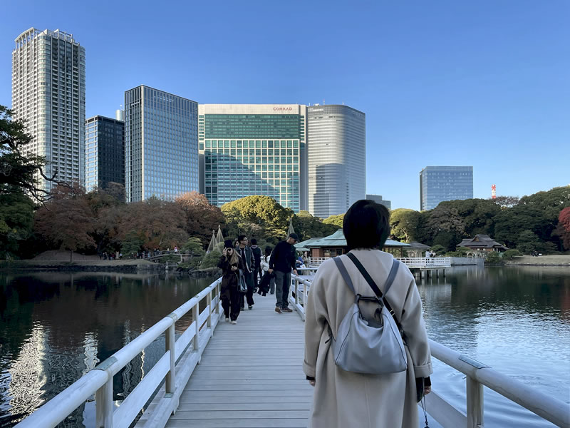 浜離宮恩賜庭園 お伝い橋を渡る妻