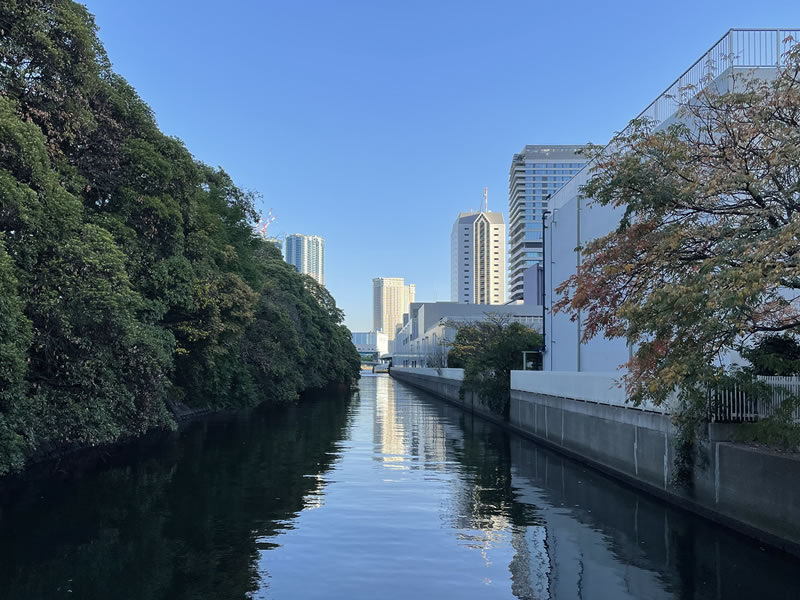 海岸通りから見た浜離宮恩賜庭園と汐留川